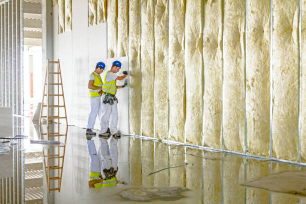 Best Spray Foam Insulation in Redwood Falls, MN